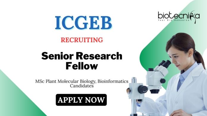 MSc Bioinformatics Jobs at ICGEB Delhi | Apply Now for Senior Research Fellow Position