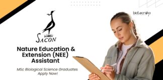 MSc Biological Science Jobs at SACON | Apply Now For The Nature Education and Extension (NEE) Assistant Role