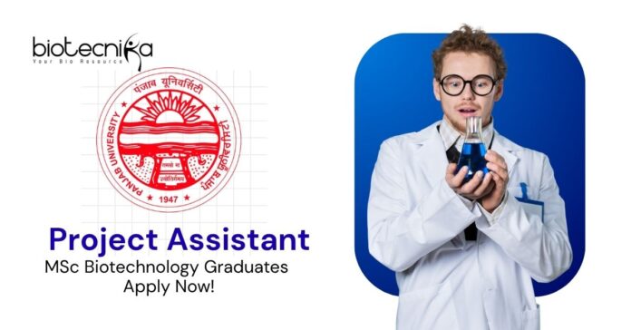 MSc Biotechnology Jobs at Panjab University | Apply Now For The Project Assistant Role