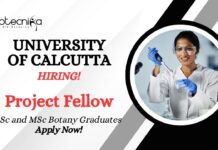 MSc Botany Jobs at University of Calcutta | Apply Now For The Walk-In Interview