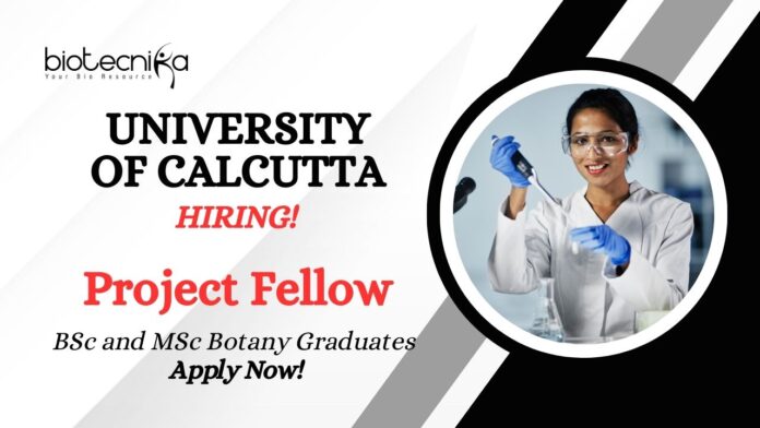 MSc Botany Jobs at University of Calcutta | Apply Now For The Walk-In Interview