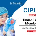 Microbiology Jobs at Cipla MSc Graduates Apply Now for the Junior Team Member Role