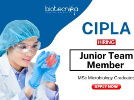 Microbiology Jobs at Cipla MSc Graduates Apply Now for the Junior Team Member Role