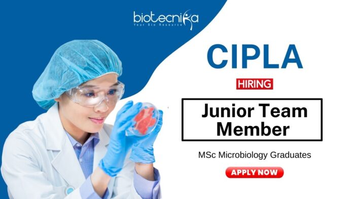 Microbiology Jobs at Cipla MSc Graduates Apply Now for the Junior Team Member Role