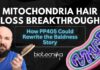Mitochondria Hair Loss Breakthrough How PP405 Could Rewrite the Baldness Story (1)