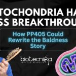 PP405 Mitochondria Breakthrough: Could This Drug End Baldness Forever? Mitochondria Hair Loss Breakthrough How PP405 Could Rewrite the Baldness Story (1)
