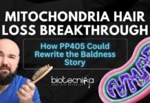 Mitochondria Hair Loss Breakthrough How PP405 Could Rewrite the Baldness Story (1)