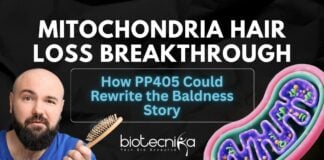Mitochondria Hair Loss Breakthrough How PP405 Could Rewrite the Baldness Story (1)