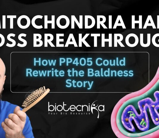Mitochondria Hair Loss Breakthrough How PP405 Could Rewrite the Baldness Story (1)