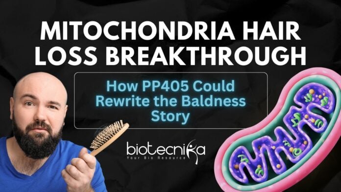 Mitochondria Hair Loss Breakthrough How PP405 Could Rewrite the Baldness Story (1)