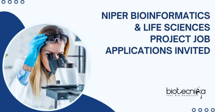 Bioinformatics & Biotechnology Job Openings