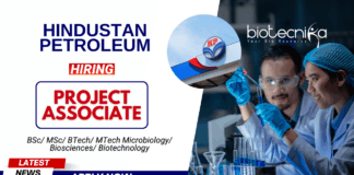 Jobs for BSc GraduateMSc Biotech Government Jobs in HPCLs | Apply Now for the Project Associate Position at Hindustan Petroleum
