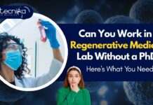 Can You Work in a Regenerative Medicine Lab Without a PhD? Here's What You Need
