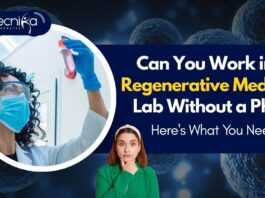 Can You Work in a Regenerative Medicine Lab Without a PhD? Here's What You Need