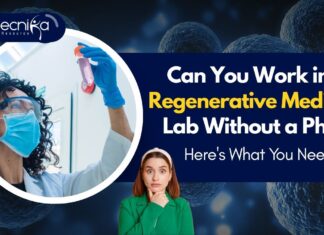 Can You Work in a Regenerative Medicine Lab Without a PhD? Here's What You Need