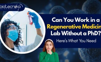 Can You Work in a Regenerative Medicine Lab Without a PhD? Here's What You Need