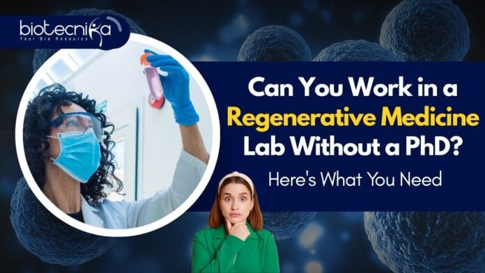 Can You Work in a Regenerative Medicine Lab Without a PhD? Here's What You Need