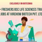 Freshers Life Sciences BSc Jobs