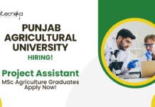 BSc Agriculture Job Vacancies