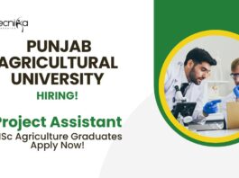 BSc Agriculture Job Vacancies