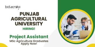 BSc Agriculture Job Vacancies