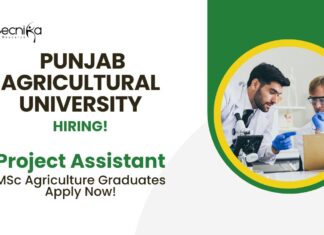 BSc Agriculture Job Vacancies