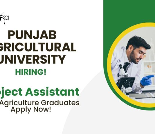 BSc Agriculture Job Vacancies