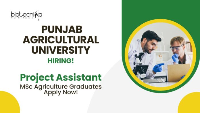 BSc Agriculture Job Vacancies