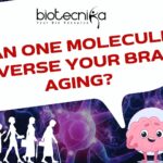 The Reverse Brain Aging Protein: Can One Molecule Rewind Your Mind’s Clock? Can One Molecule Reverse Your Brain Aging?