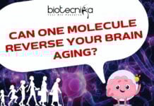 Can One Molecule Reverse Your Brain Aging?