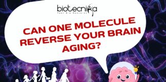 Can One Molecule Reverse Your Brain Aging?