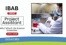 Research Job at IBAB Life Science Graduates Apply Now for the Project Assistant Position (1)
