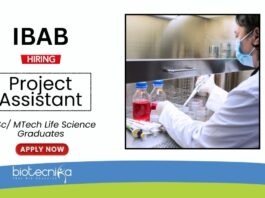 Research Job at IBAB Life Science Graduates Apply Now for the Project Assistant Position (1)