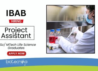 Research Job at IBAB Life Science Graduates Apply Now for the Project Assistant Position (1)