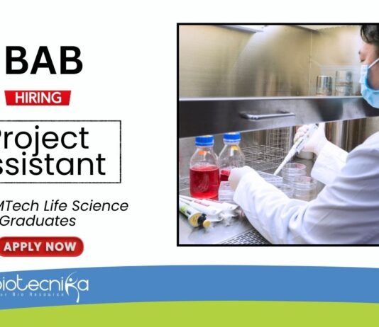 Research Job at IBAB Life Science Graduates Apply Now for the Project Assistant Position (1)