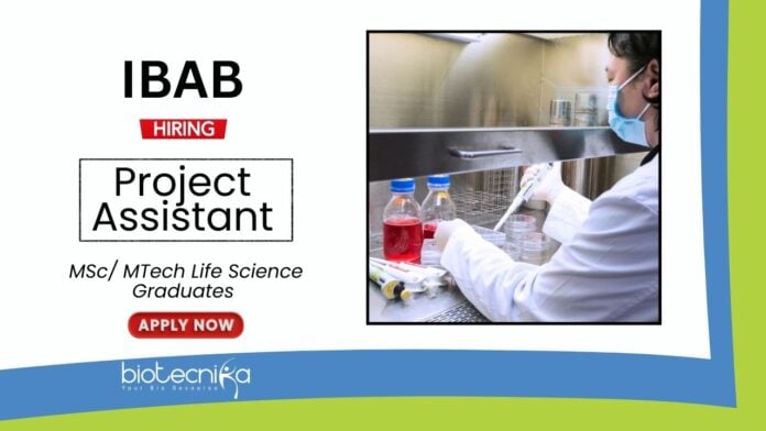 Research Job at IBAB Life Science Graduates Apply Now for the Project Assistant Position (1)