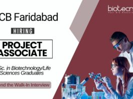 Research Job at RCB Faridabad Life Science Graduates Attend the Walk-In Interview for Project Associate Position