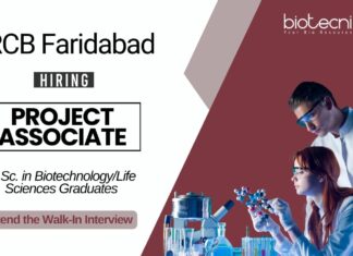 Research Job at RCB Faridabad Life Science Graduates Attend the Walk-In Interview for Project Associate Position