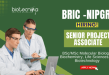 Research Jobs at NIPGR MSc Biotechnology Graduates Apply Now for the Senior Project Associate Position (1)