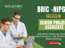Research Jobs at NIPGR MSc Biotechnology Graduates Apply Now for the Senior Project Associate Position (1)