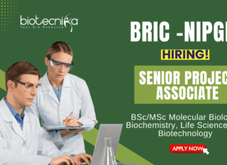 Research Jobs at NIPGR MSc Biotechnology Graduates Apply Now for the Senior Project Associate Position (1)