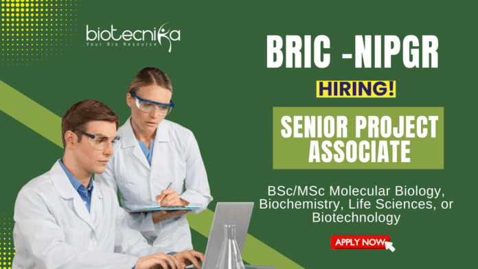 Research Jobs at NIPGR MSc Biotechnology Graduates Apply Now for the Senior Project Associate Position (1)