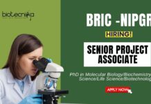 Research Jobs at NIPGR PhD Life Science Candidates Apply Now for the Research Associate Position