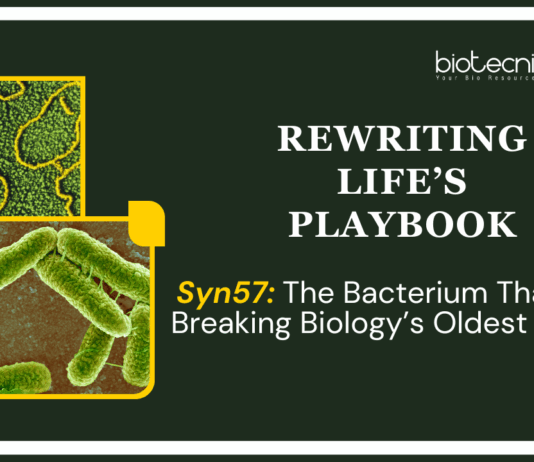 Engineered Syn57 Bacteria Redefine the Genetic Code with 57 Codons