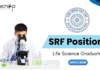 SRF position at IIT Roorkee - Life Science Graduates Apply Online