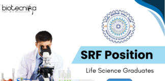 SRF position at IIT Roorkee - Life Science Graduates Apply Online