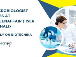 Microbiologist Job Openings Latest