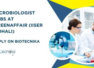Microbiologist Job Openings Latest