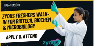 Freshers MSc Biotechnology Job Openings