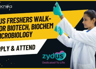 Freshers MSc Biotechnology Job Openings